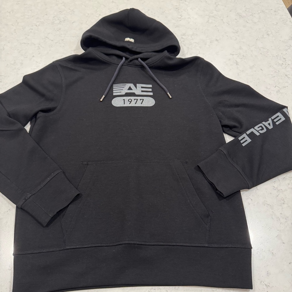 American Eagle Outfitters Hoodie Men's Small AE 1977 Design Sleeve Writing
